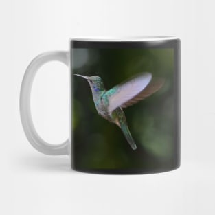 Green Violetear Hummingbird Mug